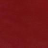 Canyon Red